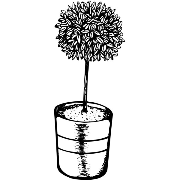 PLANT01 Thumbnail