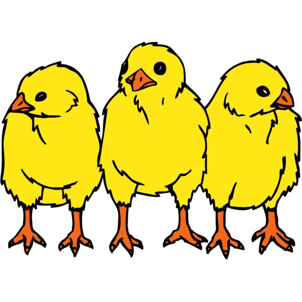 chicks3 Thumbnail