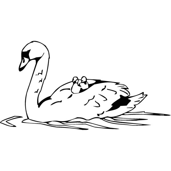 swan Thumbnail
