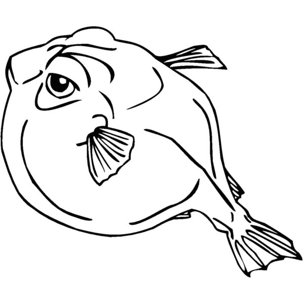 pufferfish Thumbnail