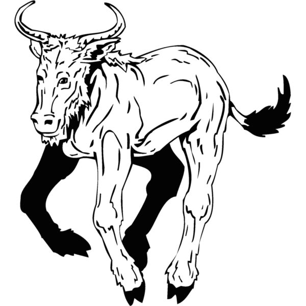 mountain goat Thumbnail