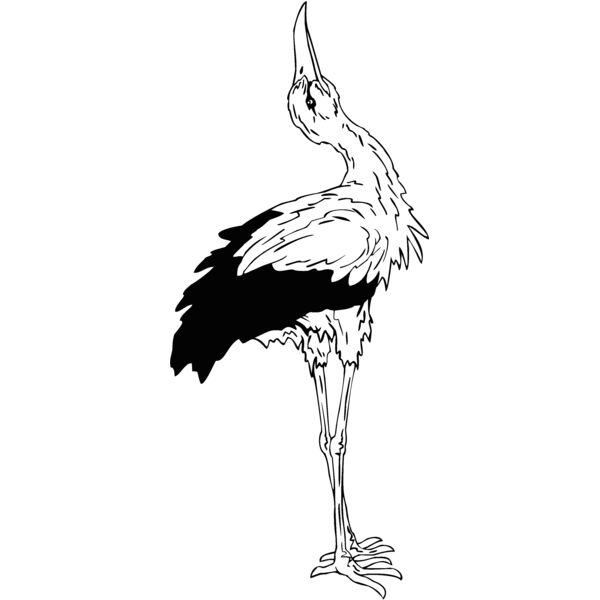 stork Thumbnail