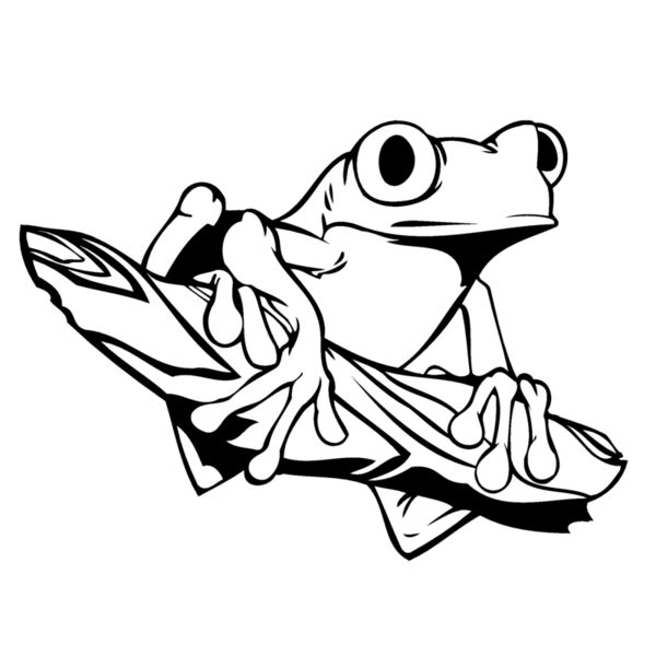 frog12 Thumbnail