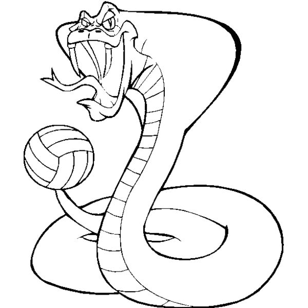 cobravlybns Thumbnail