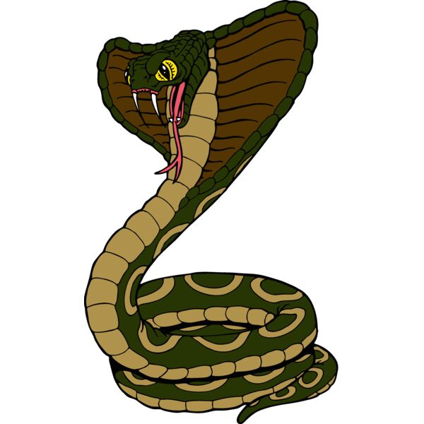 cobrasnk01 Thumbnail