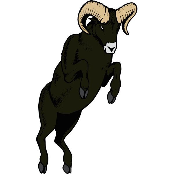 ram06v4clr Thumbnail