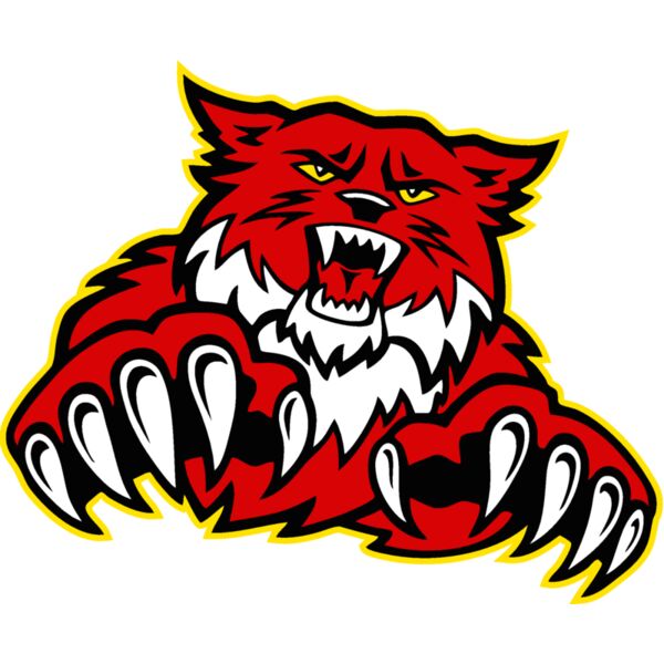 wildctjk09 Thumbnail