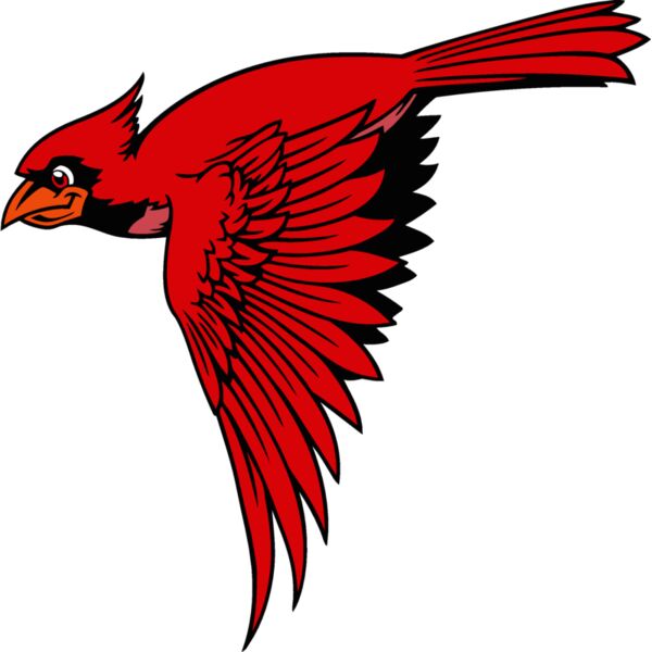 cardinal02v4clr Thumbnail