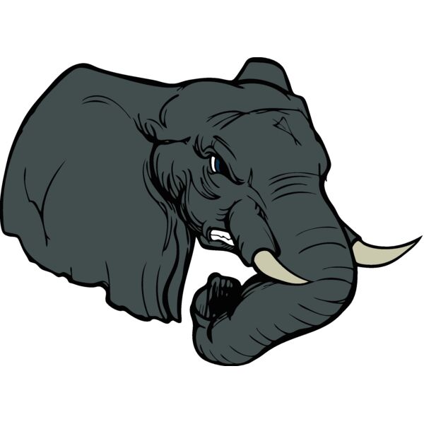 elephanthead02 Thumbnail