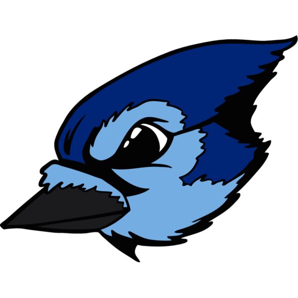 bluejay18 Thumbnail