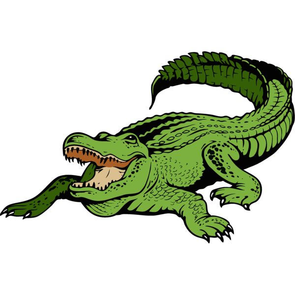 gator11v4clr Thumbnail