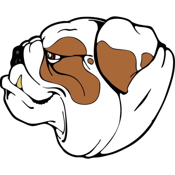 bulldogguyhead Thumbnail