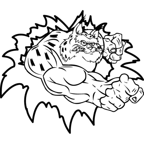 bobcattear2 Thumbnail