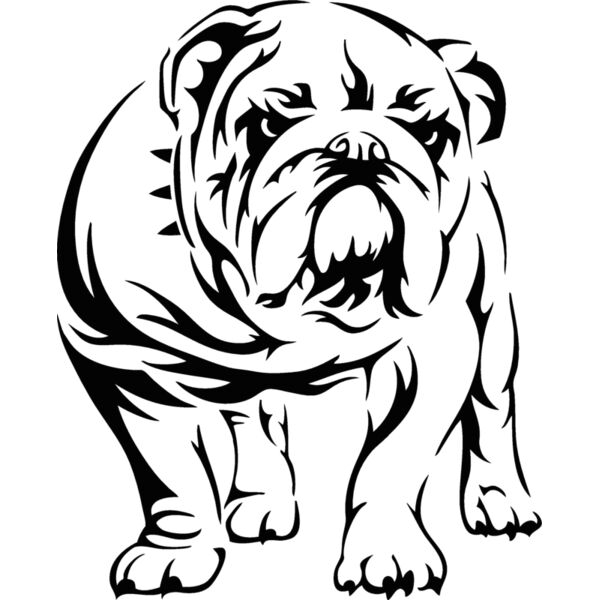 bulldogtrib Thumbnail