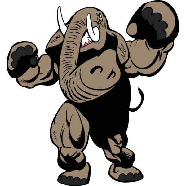 elephantmsct1 Thumbnail