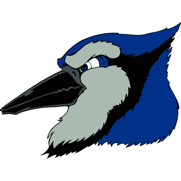 bluejay23 Thumbnail