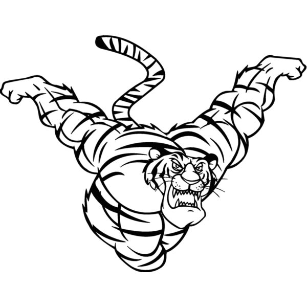 tiger7 Thumbnail